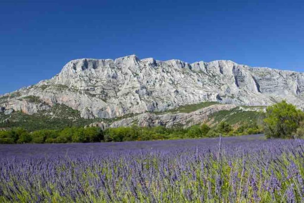 Le Cardinale - Un Voyage En Provence - 2 Chambres Avec Parking Aix-en-Provence Kültér fotó